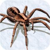 Ultimate Spider Simulator - RPG Game 1.0