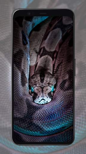 Snake Wallpapers screenshot 4
