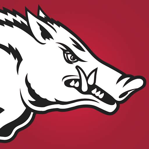 Arkansas Razorbacks 173.2.4