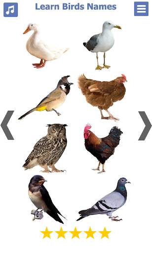 Birds name in English स्क्रीनशॉट 1