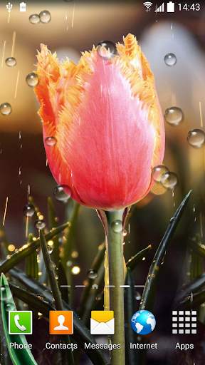 Spring Flower Live Wallpaper screenshot 6