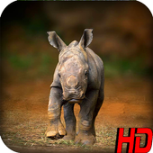Wild Animal Wallpapers HD icon