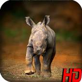 Wild Animal Wallpapers HD 1.0