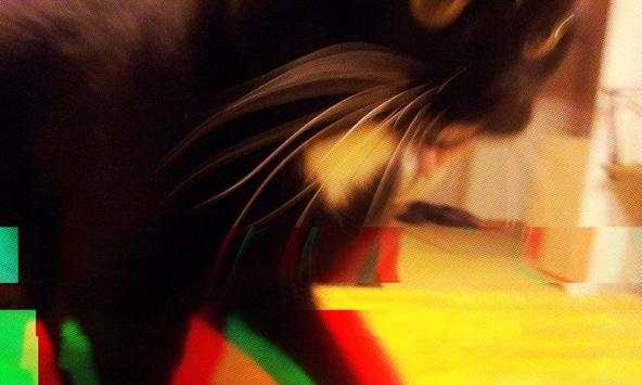 Glitch Camera 2 screenshot 1