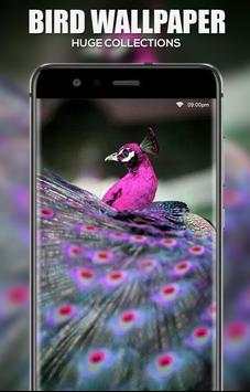 Bird Wallpaper screenshot 3
