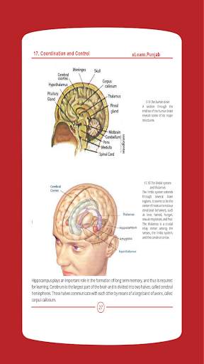 Biology 12 Punjab Textbook (Offline) screenshot 4