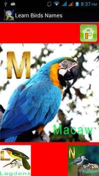 Kids Learning Birds Name screenshot 5
