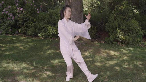 Tai Chi for Beginners - 48 Form (YMAA) screenshot 9