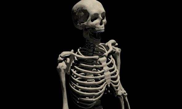 Skeleton Wallpapers screenshot 2