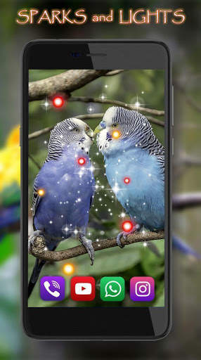 Love Birds Live Wallpaper screenshot 4