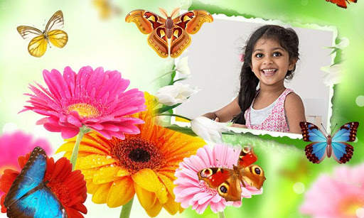 Butterfly Photo Frames screenshot 2