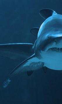 Shark Wallpapers स्क्रीनशॉट 2