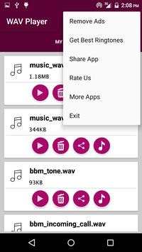 WAV Player 4 تصوير الشاشة