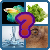 4 Pics 1 Word icon