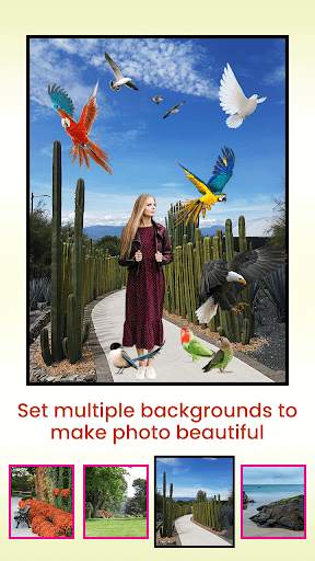 Bird Photo Editor screenshot 7