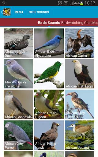 African Birds Sounds Free screenshot 2