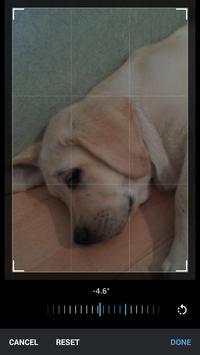 TCamera screenshot 5