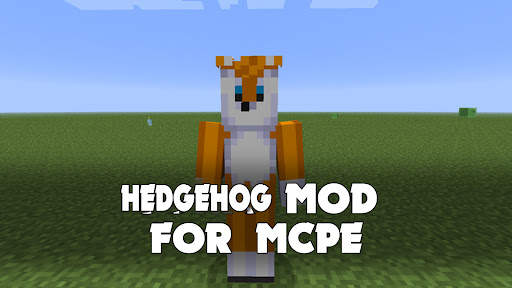 Hedgehog Mod for Minecraft PE screenshot 1