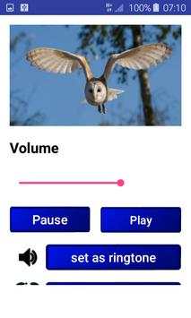Birds Songs and Sounds (HD Sounds) screenshot 4
