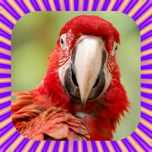Parrot Talking أيقونة