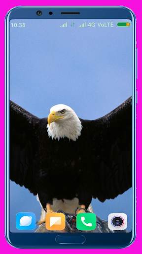 Eagle Wallpaper Best 4K screenshot 13