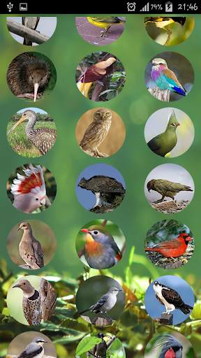 The Sound of Birds स्क्रीनशॉट 3