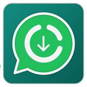 Story Saver 3.0