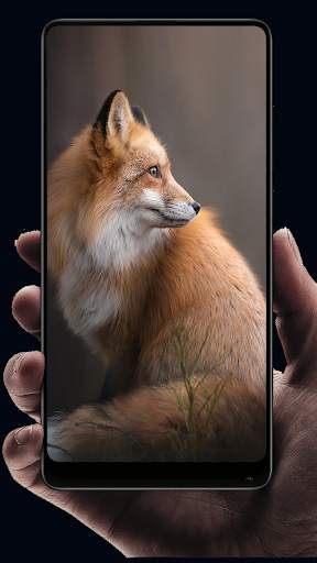 Fox Wallpaper HD screenshot 10