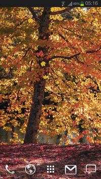 Fall Season Live Wallpaper screenshot 4