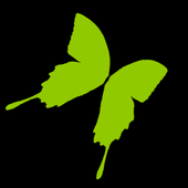 Light Butterfly icon