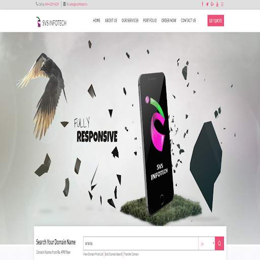 SVS infotech screenshot 2