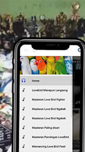 Training Kicau Lovebird Masteran Offline screenshot 3