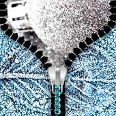 Glitter Zipper Lock Screen on 9Apps