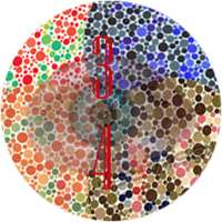 Color Test App