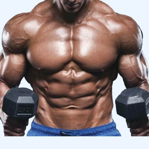 Gym Trainer - Workout Gym Trainer & Fitness Coach ￾㄀㔀⸀㄀