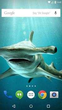 Pig Tiger Shark Turtle screenshot 4