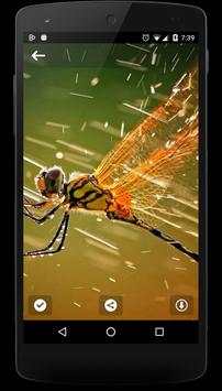 Rain Live Wallpaper 2016 screenshot 9