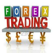Free Forex Deposite Bonus icon