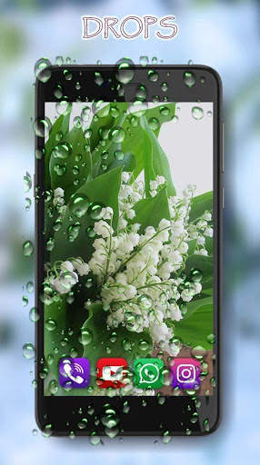 Lily May Live Wallpaper screenshot 2