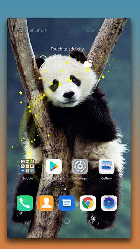 Panda Live Wallpaper screenshot 1