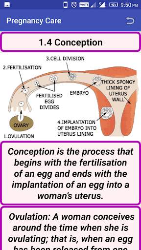 Pregnancy Care screenshot 5