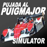 Puig Major Car Racing Simulator logo