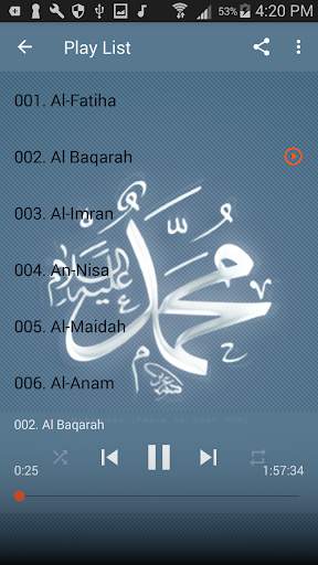 Saad Al Ghamidi Offline MP3 screenshot 8