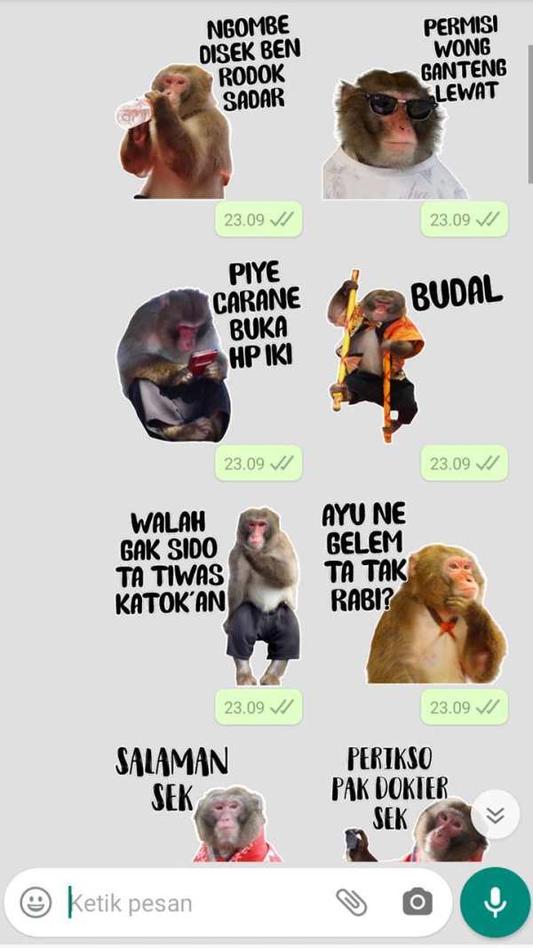 Stiker WA Monyet Jawa Lucu screenshot 3