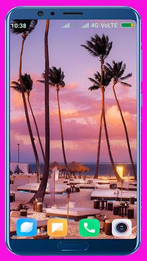 Palm Tree Wallpaper screenshot 16