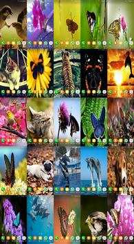 J2 Wallpapers screenshot 1