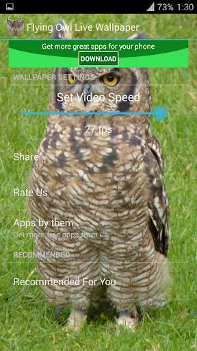 Flying Owl Live Wallpaper screenshot 7