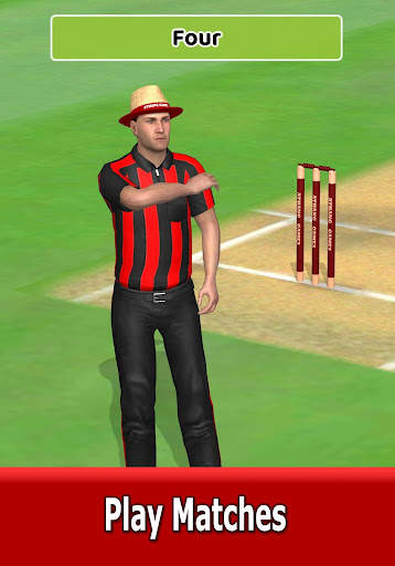 Cricket World Domination скриншот 19
