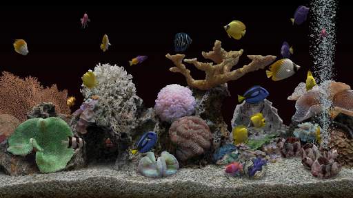 Marine Aquarium 3.3 screenshot 2