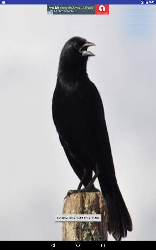 Black Bird screenshot 6